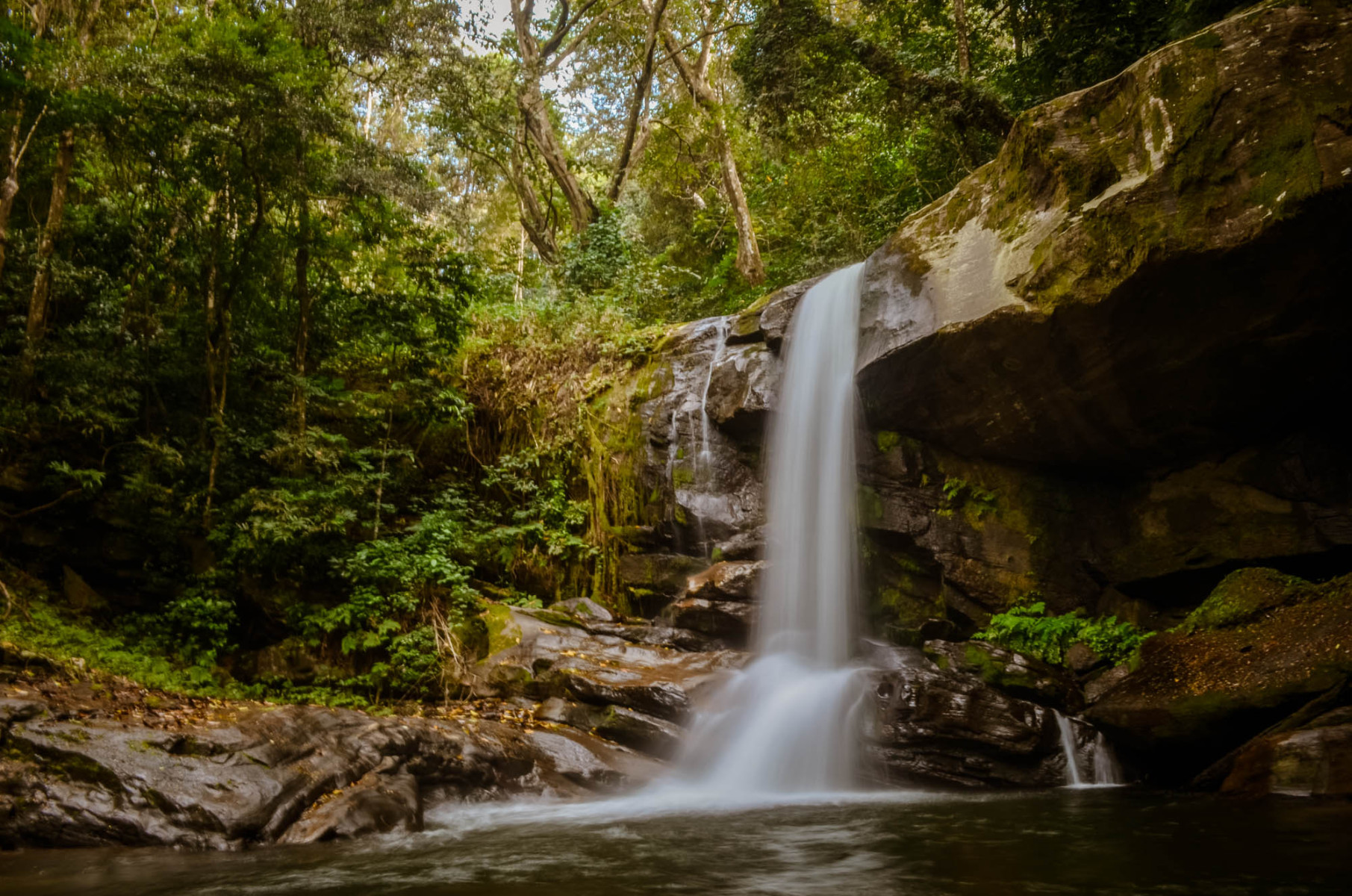 Národní park Udzungwa Mountains