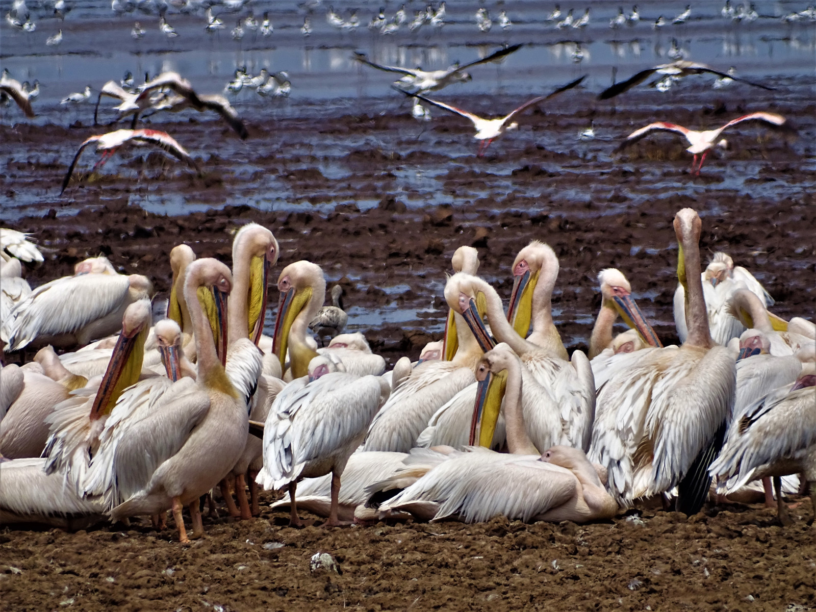 Národní park Lake Manyara