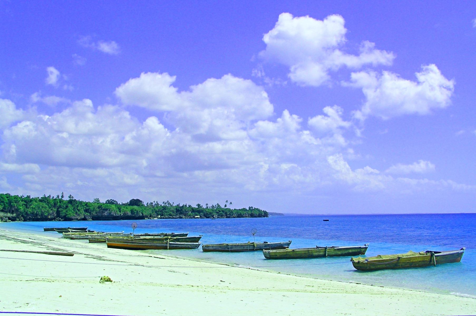 Relax na Zanzibaru & Safari v NP Mikumi