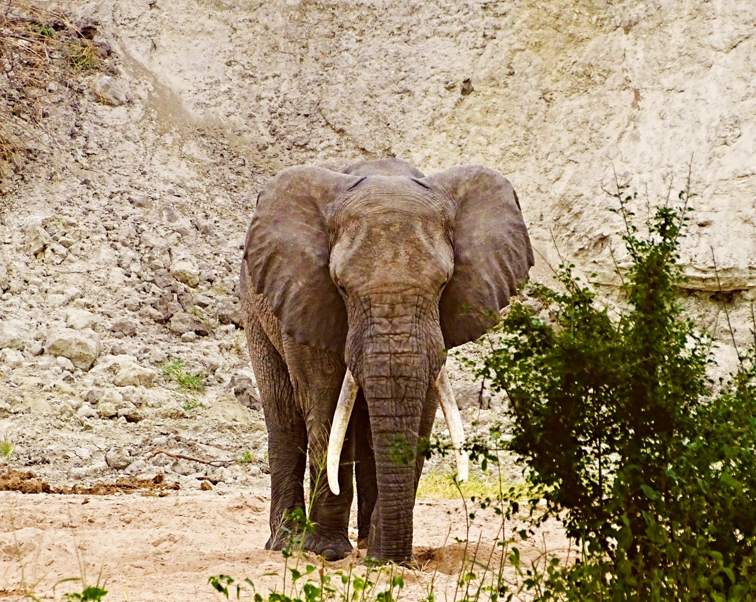 Severní Tanzanie: 5denní dobrodružství na safari