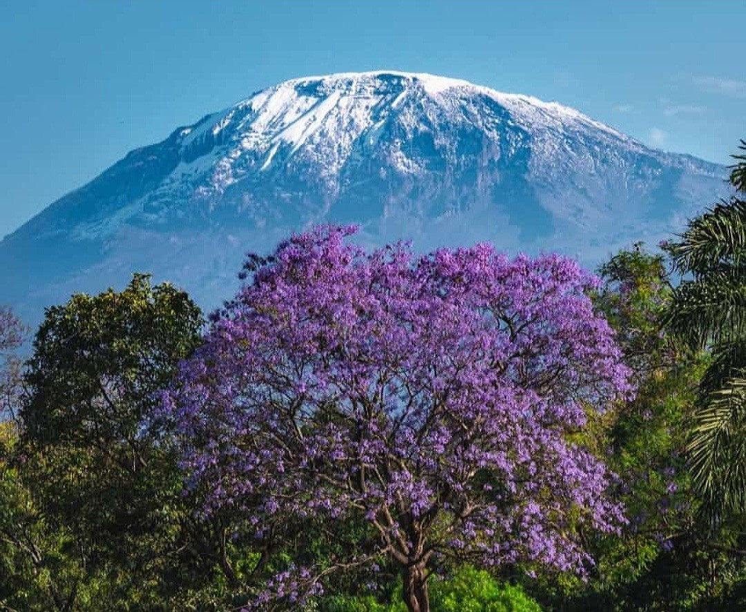 Mount Kilimanjaro