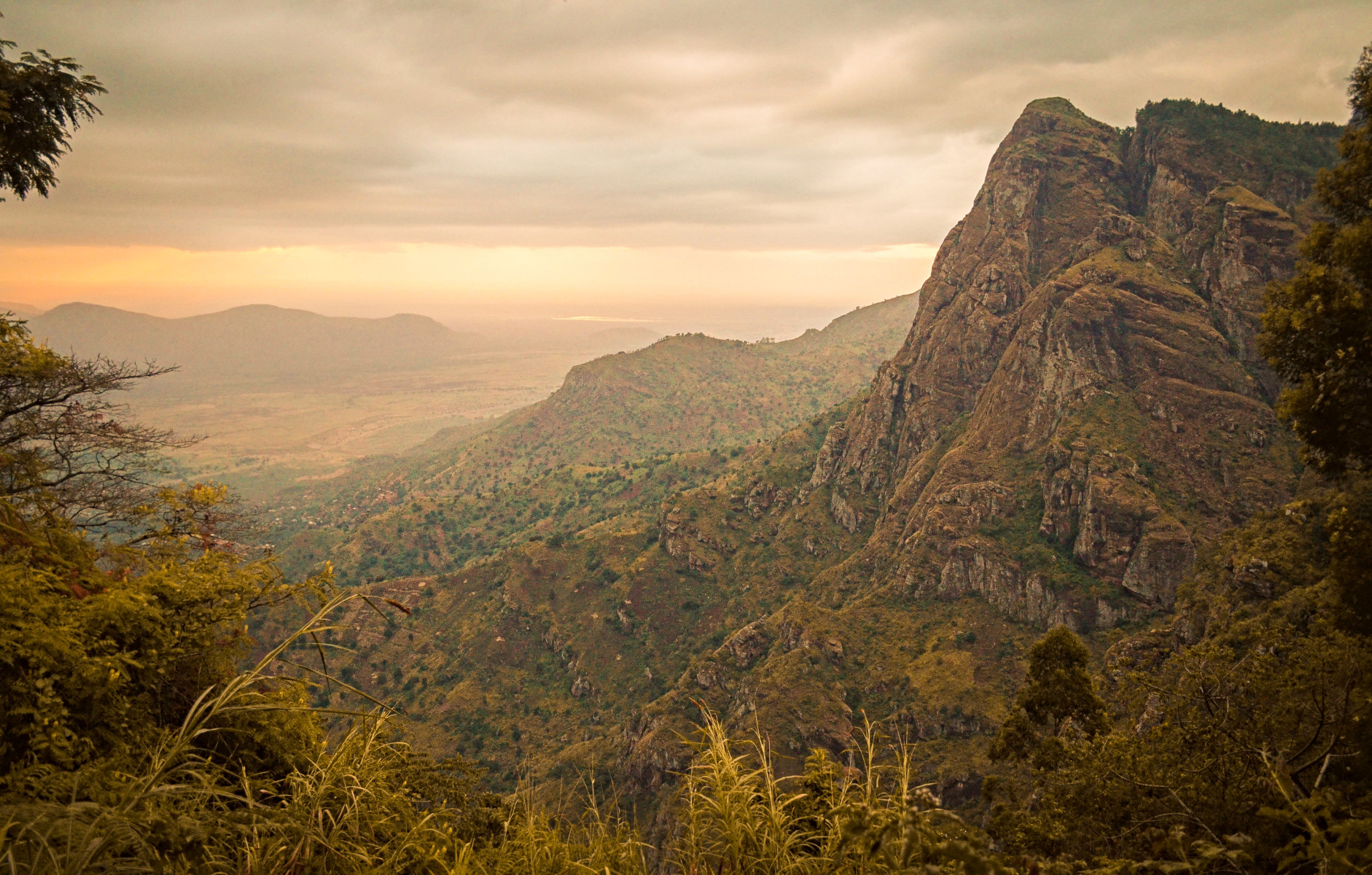 Mkomazi National Park