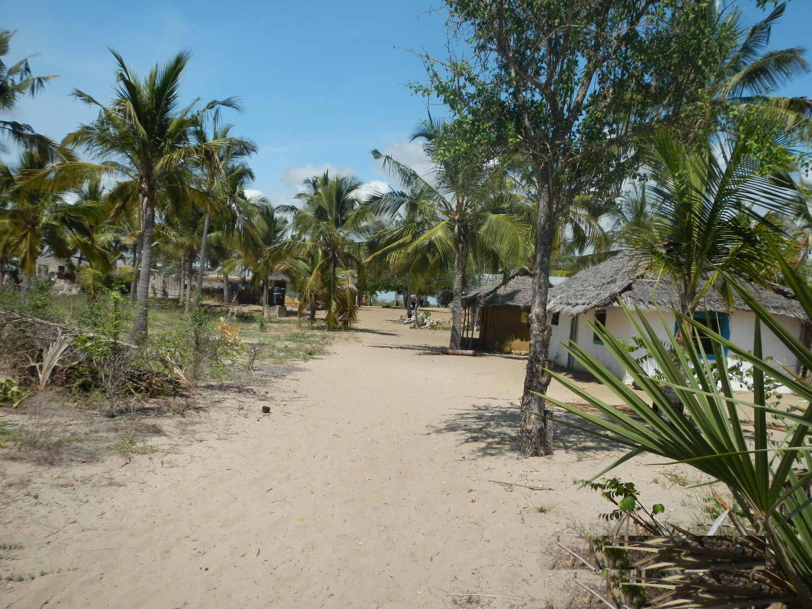 Saadani National Park