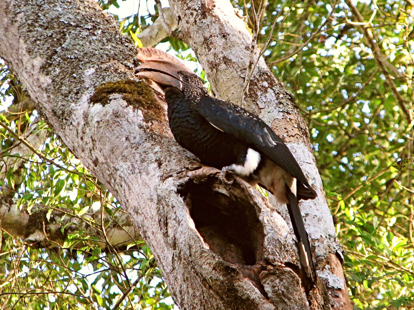 Národní park Arusha