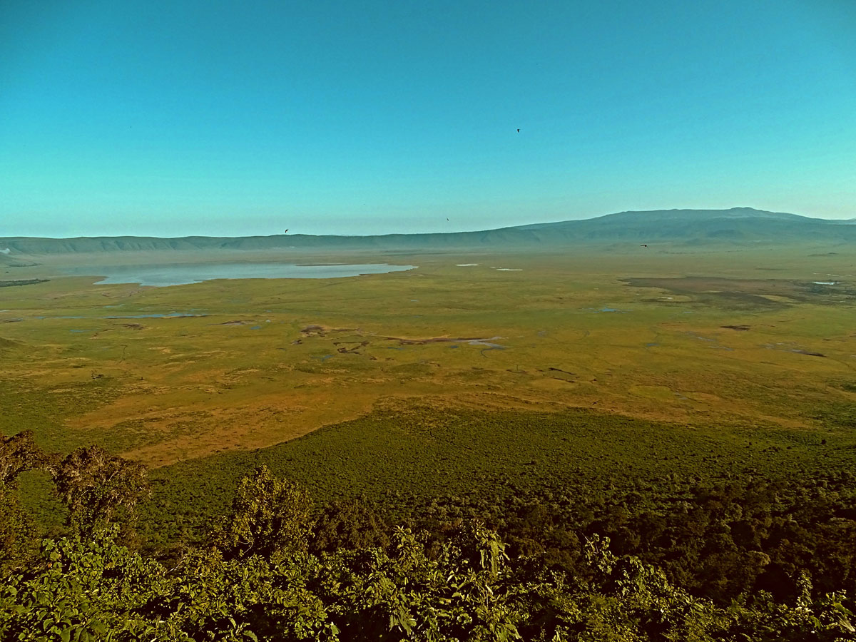 Kráter Ngorongoro