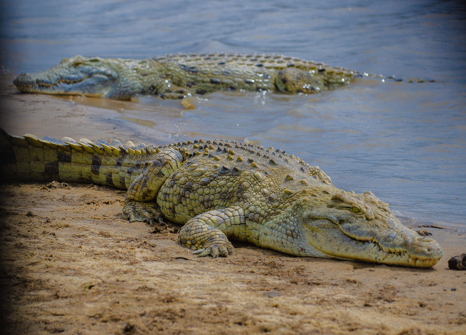 Nyerere National Park