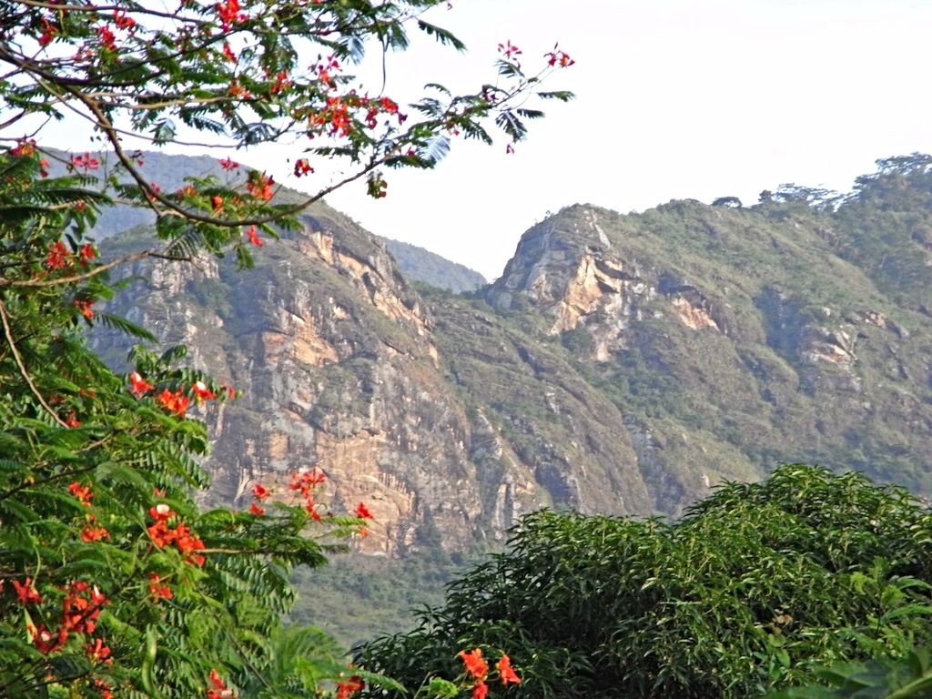 Uluguru Mountains