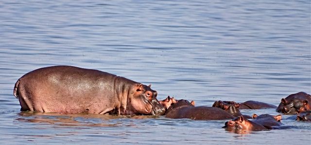 Národní park Lake Manyara